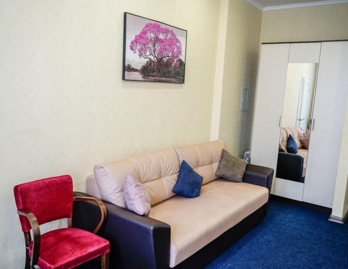 Номер люкс с 1 двуспальной кроватью - Санаторий «Митино»